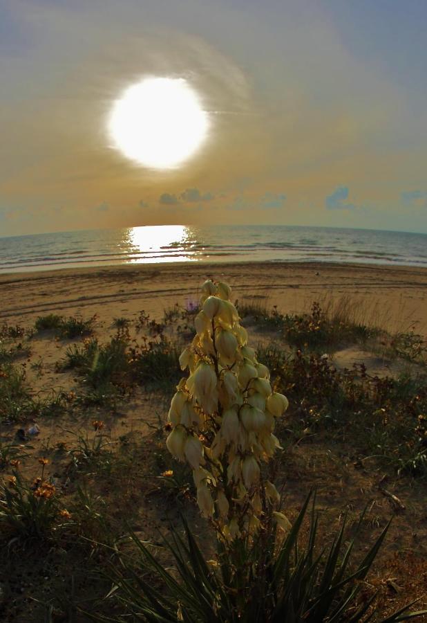 Bed and Breakfast Cilentosia Agropoli Exterior foto